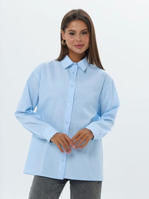 Смотреть образы с Рубашка (артикул 179770502)