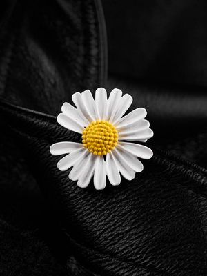 Модный образ ВБ с Брошь (артикул 229013890)