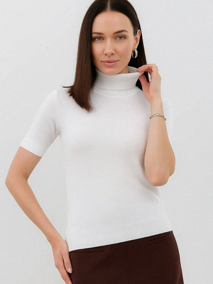 Смотреть образы с Водолазка (артикул 433709703)